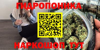 a pvp Нягань