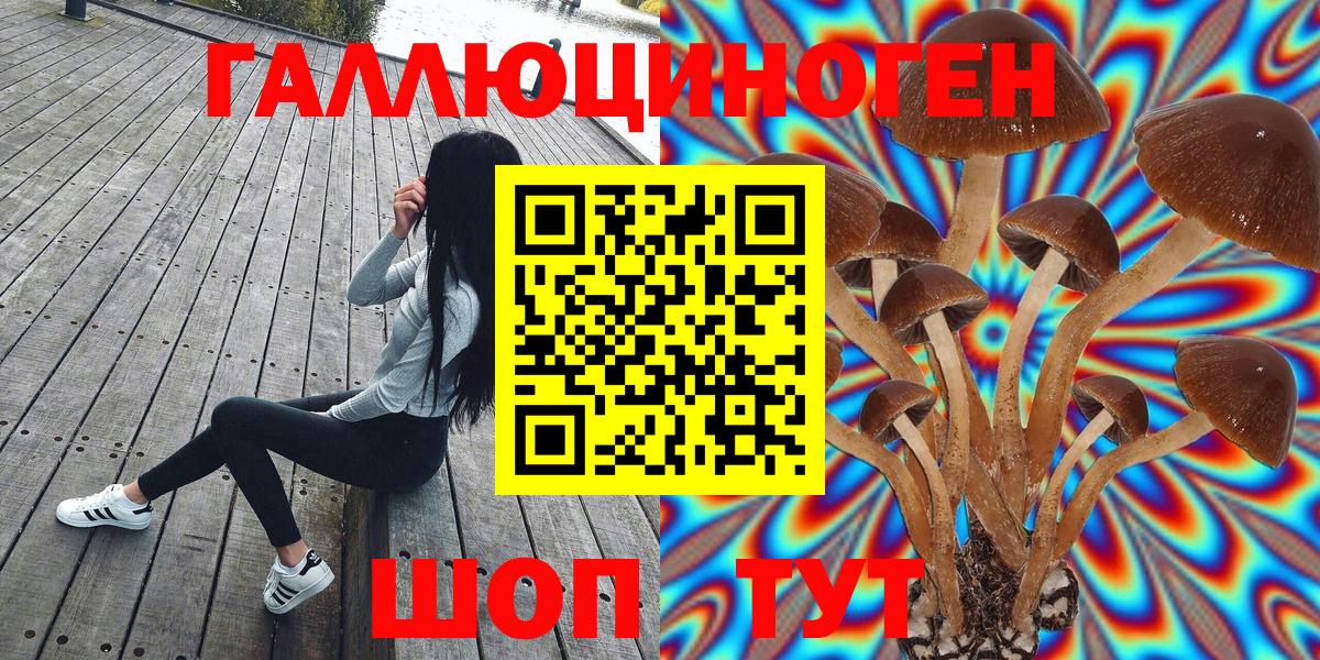 Псилоцибиновые грибы Cubensis Саратов